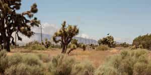 Victorville